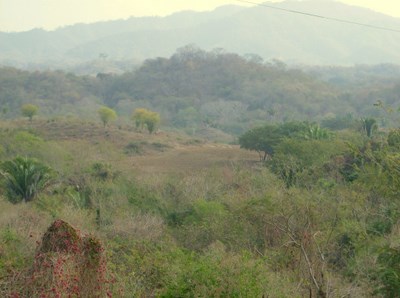 Mountain Scenery.